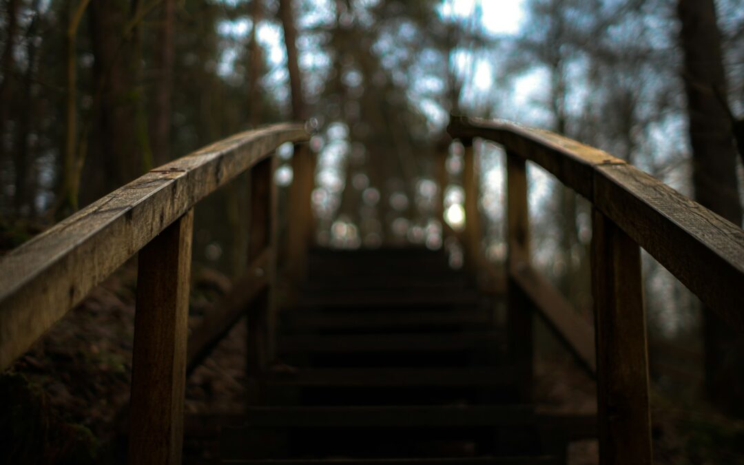 Roztoczański Park Narodowy – bukowe lasy i szumy na Tanwi