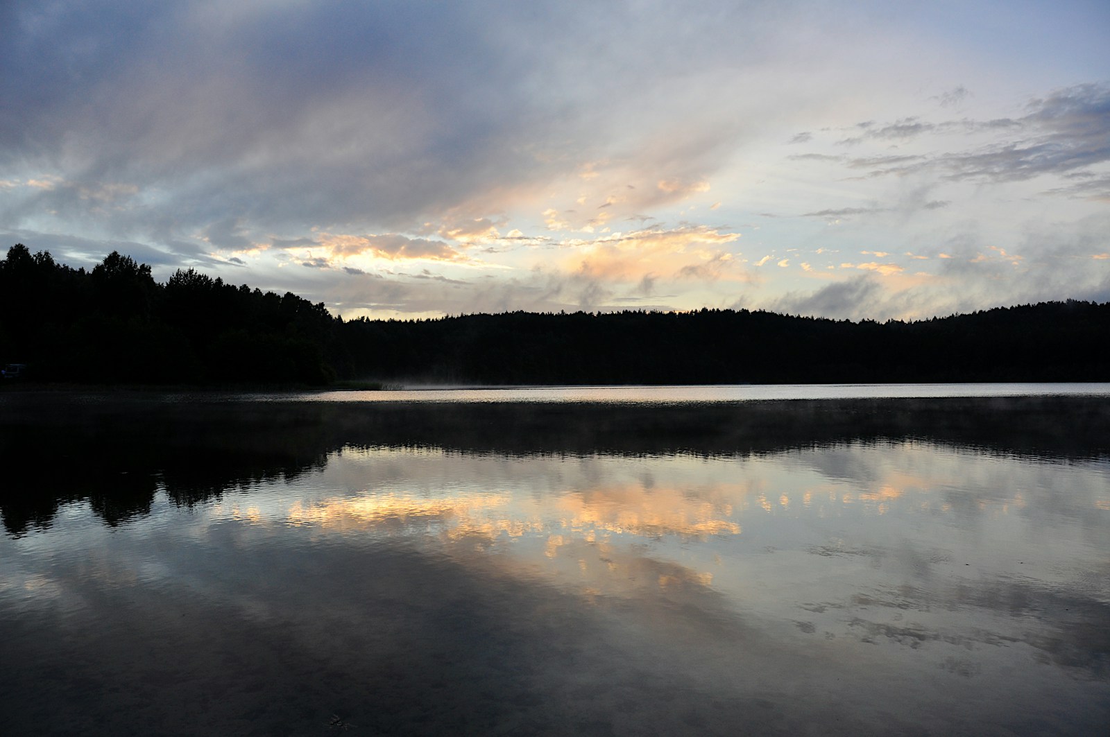 a large body of water surrounded by a forest