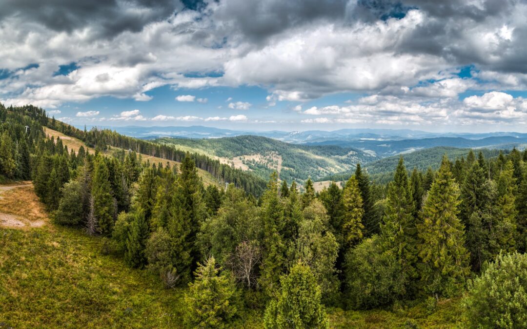 Pieniny co warto zobaczyć – spływ Dunajcem i wędrówki idealne dla spokojnych podróżników