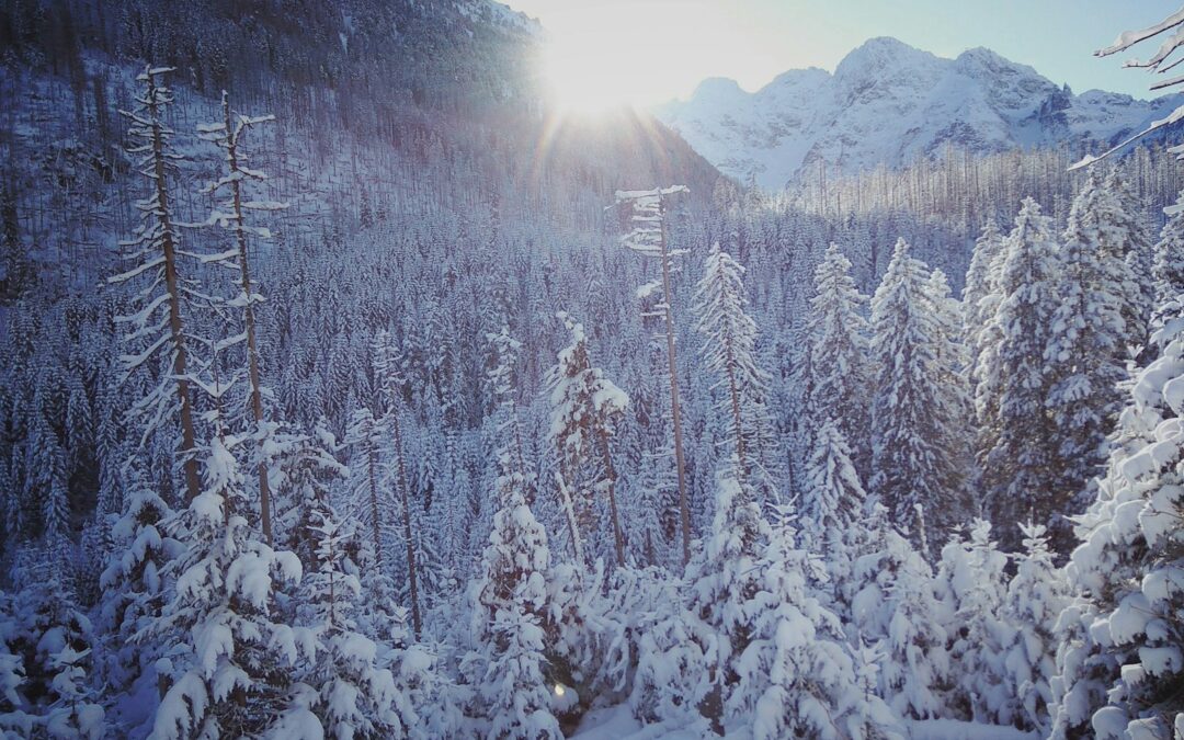 Bukowina Tatrzańska co warto zobaczyć – tradycja i relaks w górskim rytmie seniora