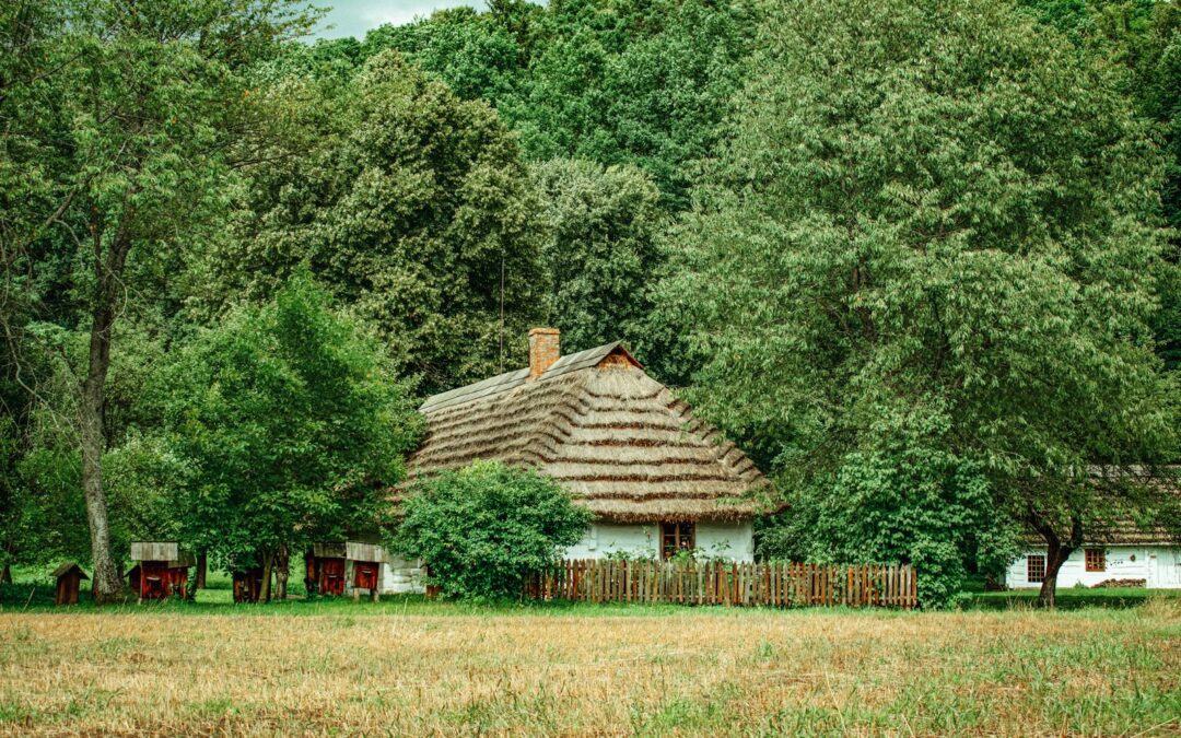Sanok co warto zobaczyć – ikony, zamek i muzeum budownictwa – idealne dla miłośników kultury