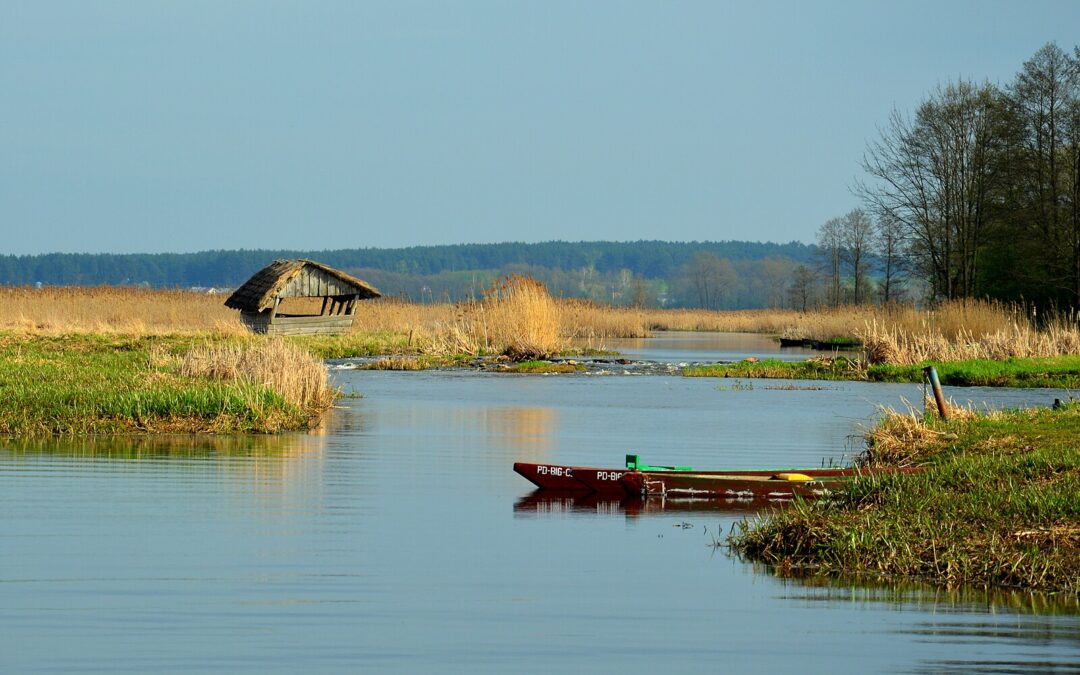 Narwiański Park Narodowy – labirynt rzeki i kładki nad wodą