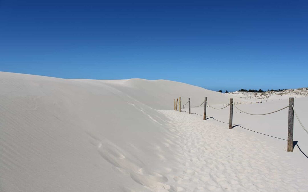 Słowiński Park Narodowy – ruchome wydmy i pustynny krajobraz nad morzem
