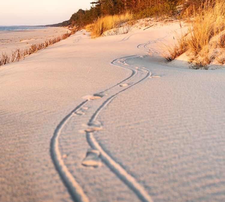 Krynica Morska co warto zobaczyć – spacery plażą i wiatr od morza – dla starszych miłośników Bałtyku