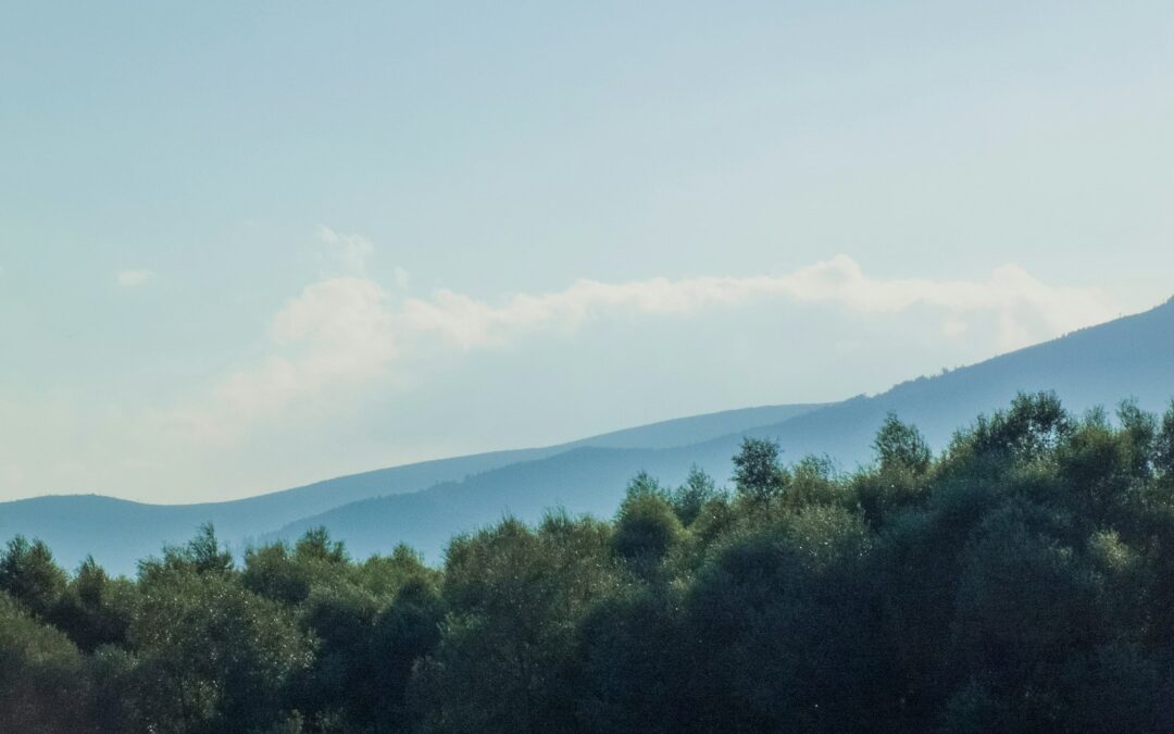 Żywiec co warto zobaczyć – muzeum browaru, park i beskidzki klimat bez tłumów