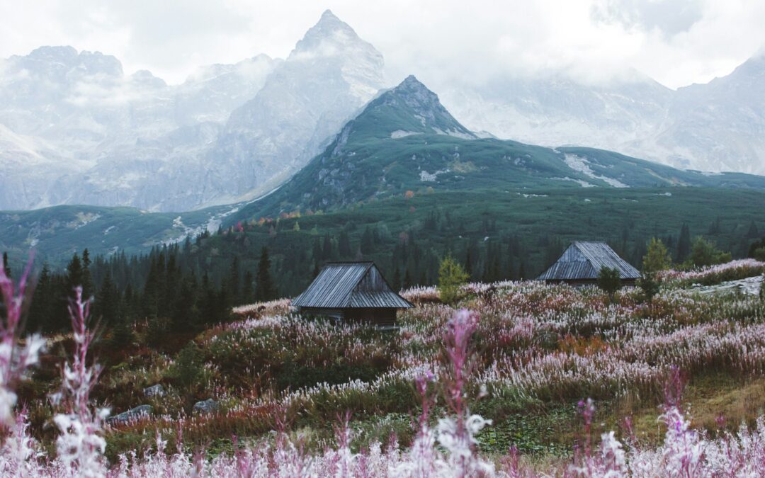 Tatry co warto zobaczyć – Dolina Kościeliska i Rusinowa Polana – bezpieczne opcje górskie