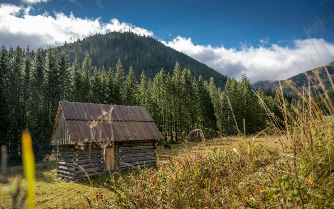 Dolina Chochołowska co warto zobaczyć – wygodne trasy dla spacerowiczów i łagodne górskie powietrze