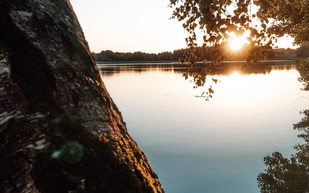 Mazury co warto zobaczyć – cisza, jeziora i łódki – idealne miejsce dla starszych podróżników