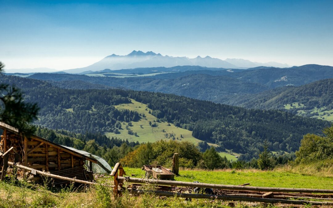 Krynica Zdrój co warto zobaczyć – deptak, pijalnie i wygodne szlaki – przepis na zdrowy wypoczynek