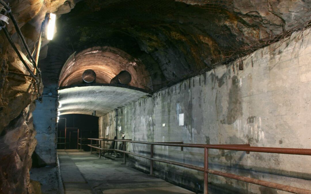 Kompleks Riese co warto zobaczyć – leśne trasy i historia dla ciekawych i wytrwałych seniorów