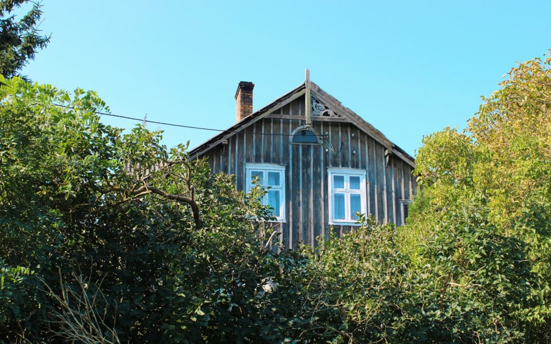 Stegna co warto zobaczyć – szeroka plaża i ścieżki przez lasy – idealne miejsce dla seniorów