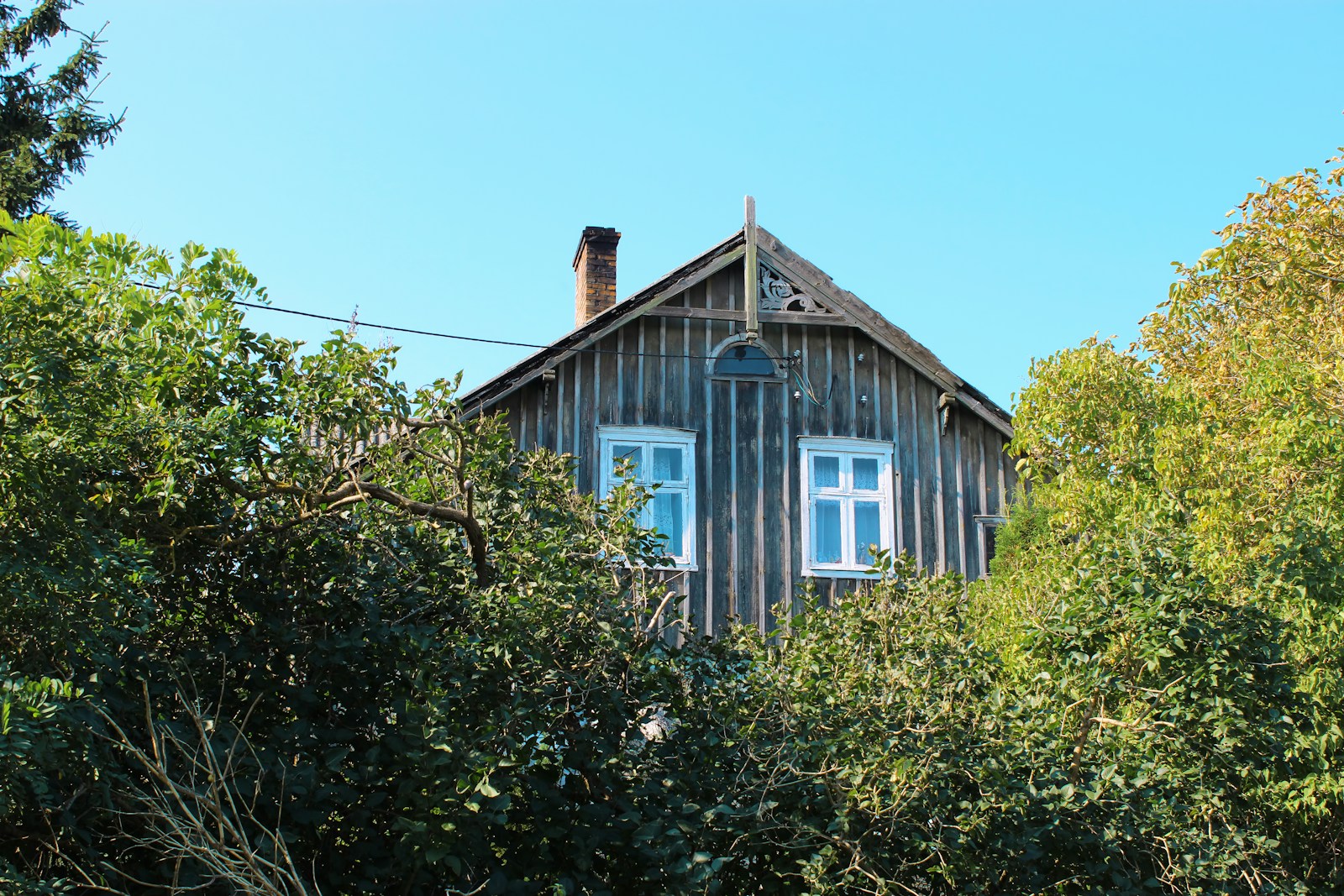A wooden house surrounded by trees on a sunny day