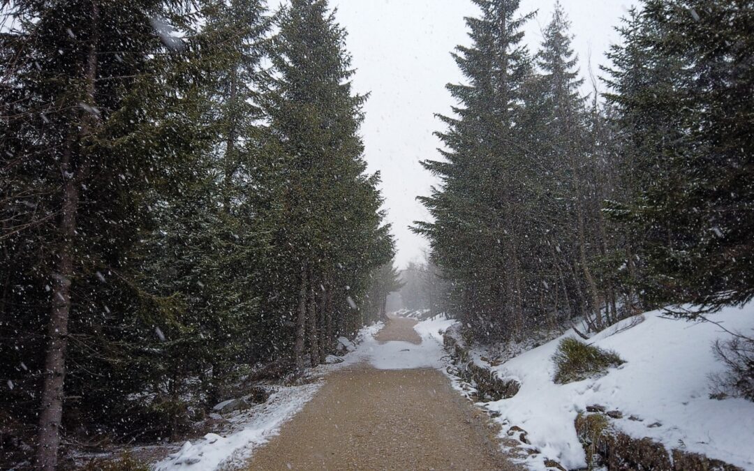 Szklarska Poręba co warto zobaczyć – wodospady i szlaki – bezpieczne trasy górskie dla seniorów