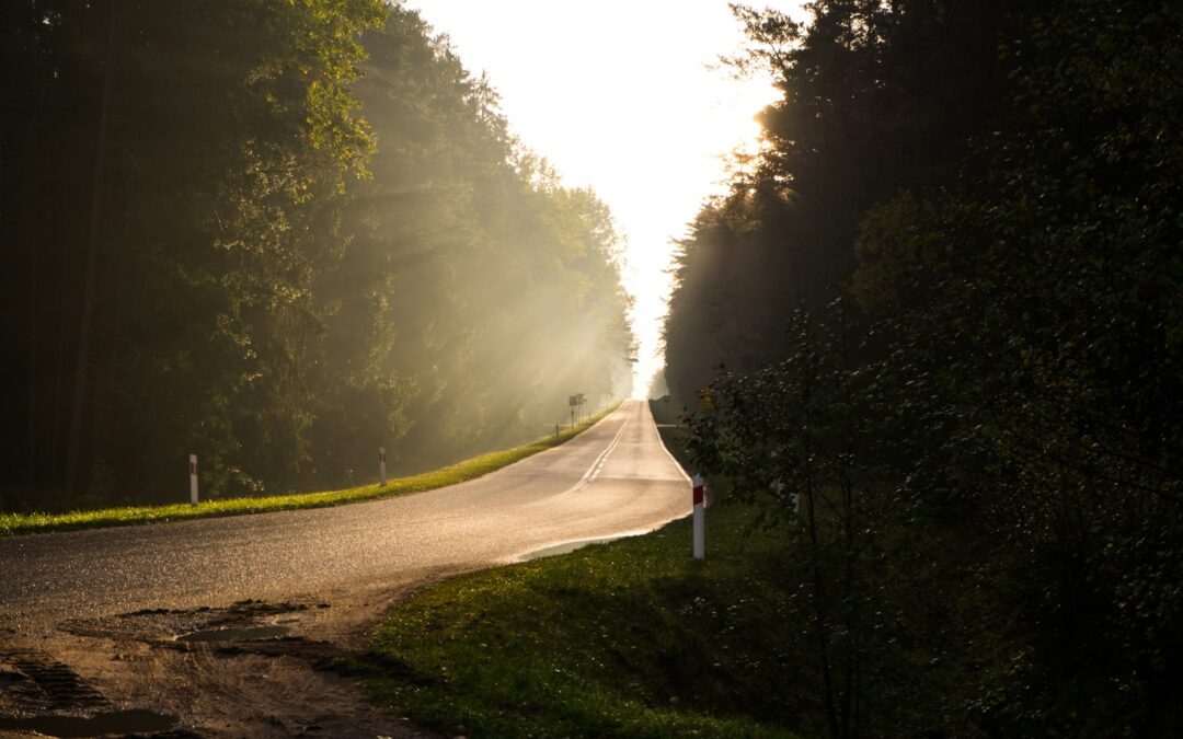 Podlasie co warto zobaczyć – drewniane cerkwie, bociany i cisza wschodu