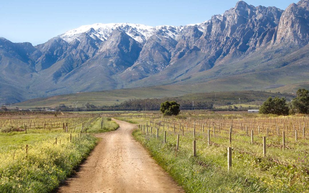 Willa z widokiem na ocean – jak spędzić rajskie wakacje w RPA