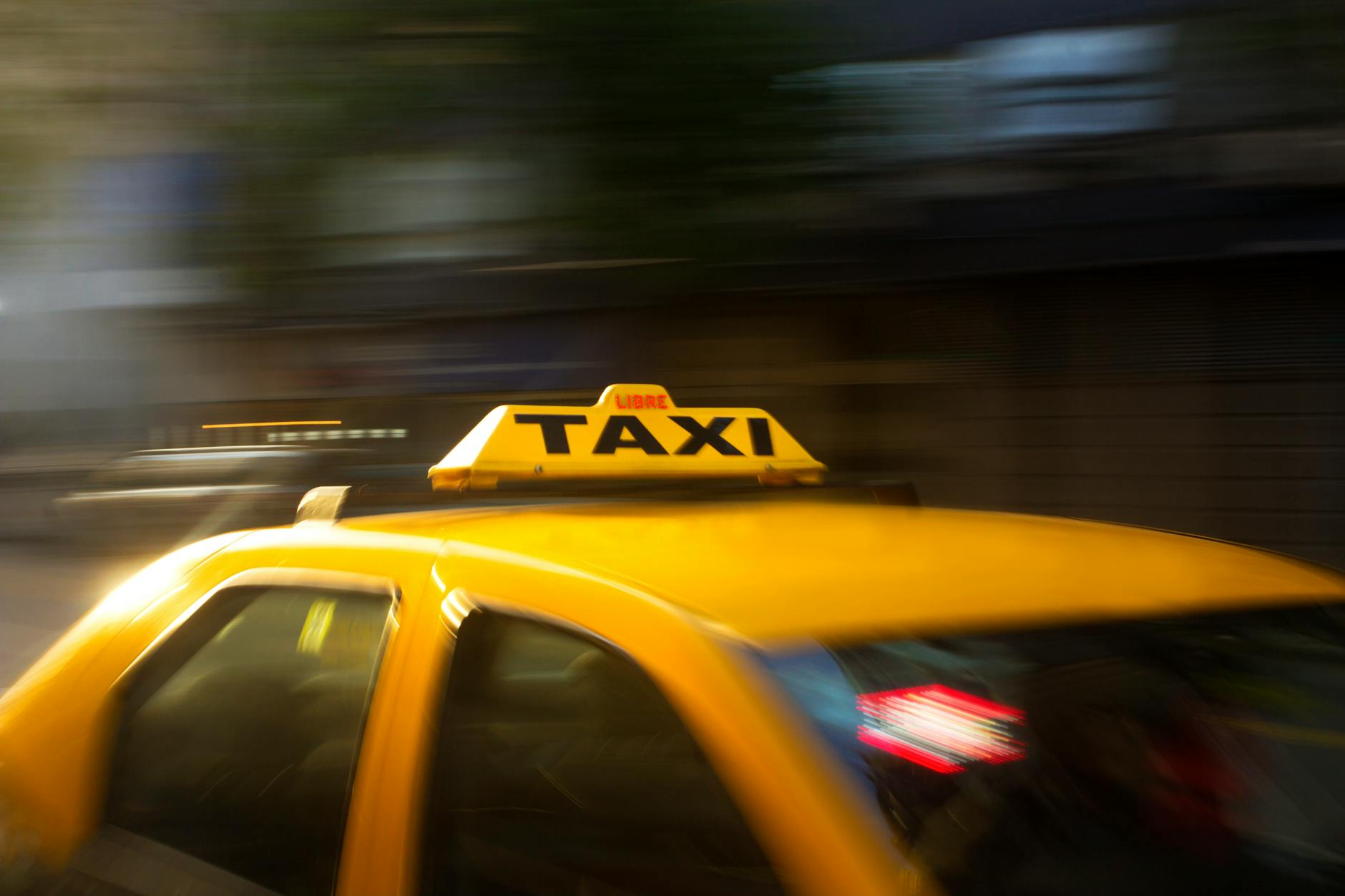 Podróżujesz z pupilem? Sprawdź, jak działa taxi z psem i czego możesz się spodziewać