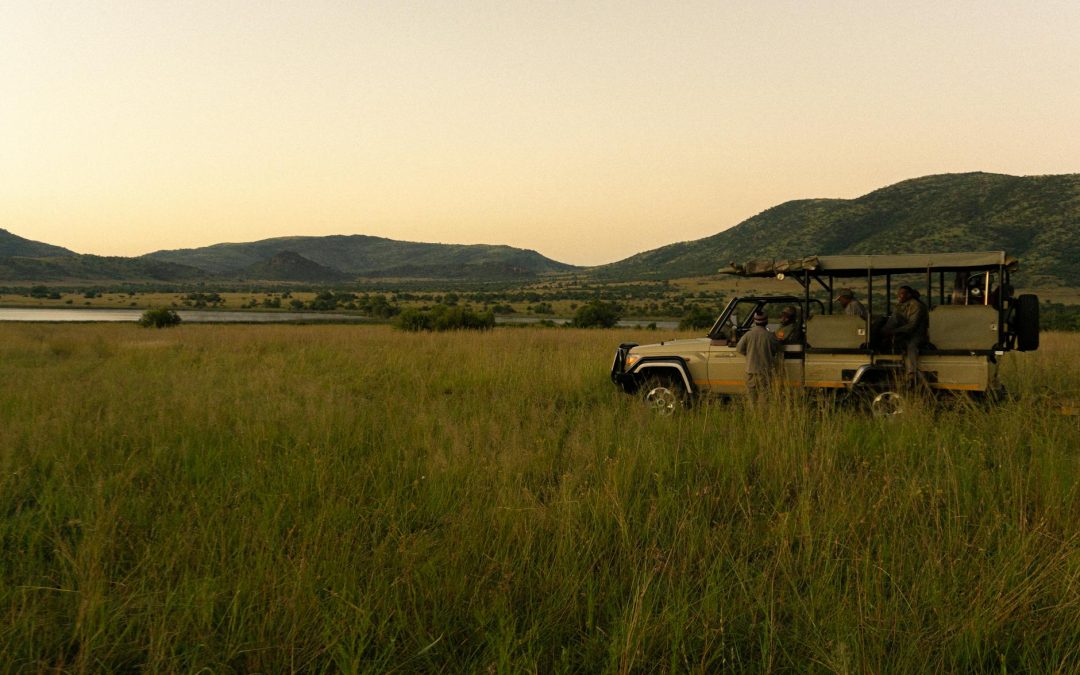 RPA bez pośpiechu: Bezpieczne i komfortowe safari dla dojrzałych podróżników
