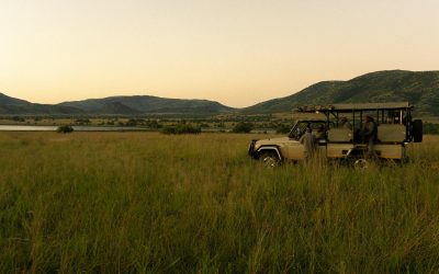 RPA bez pośpiechu: Bezpieczne i komfortowe safari dla dojrzałych podróżników