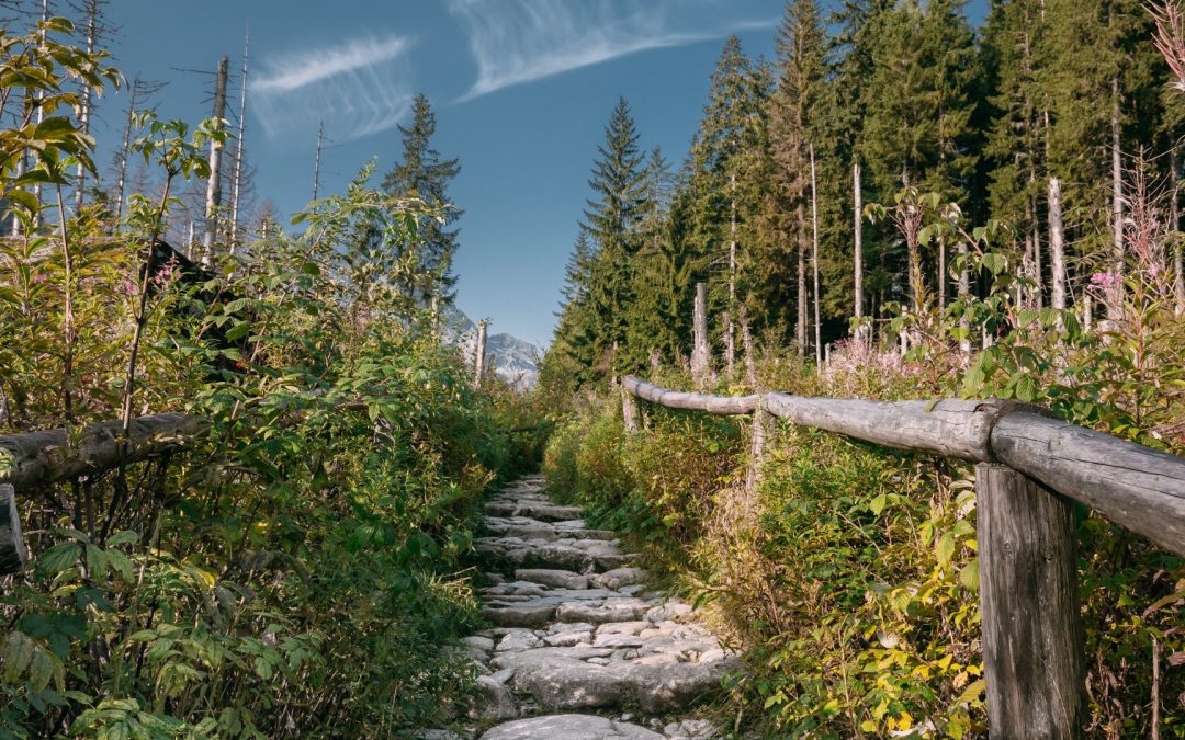 Seniorzy czy silversi? Co naprawdę liczy się w podróży?