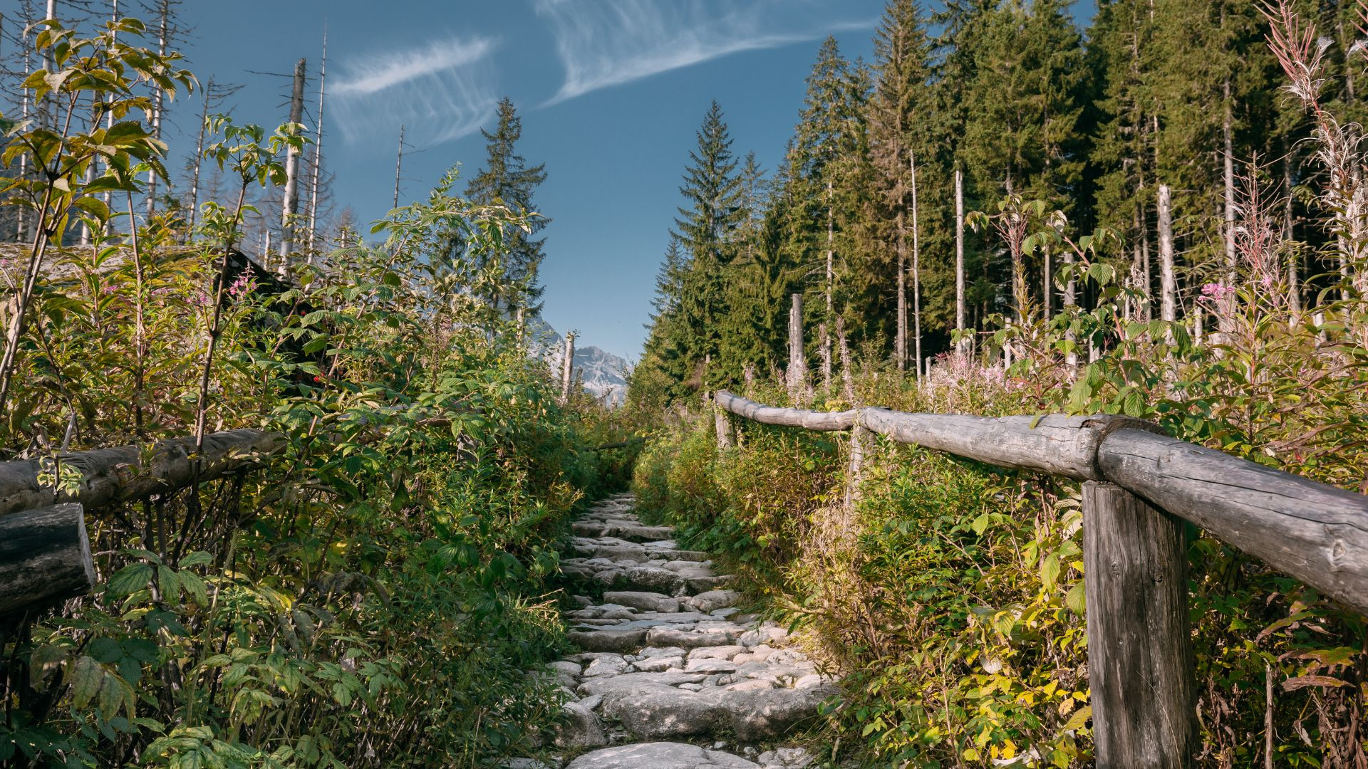 Seniorzy czy silversi? Co naprawdę liczy się w podróży?