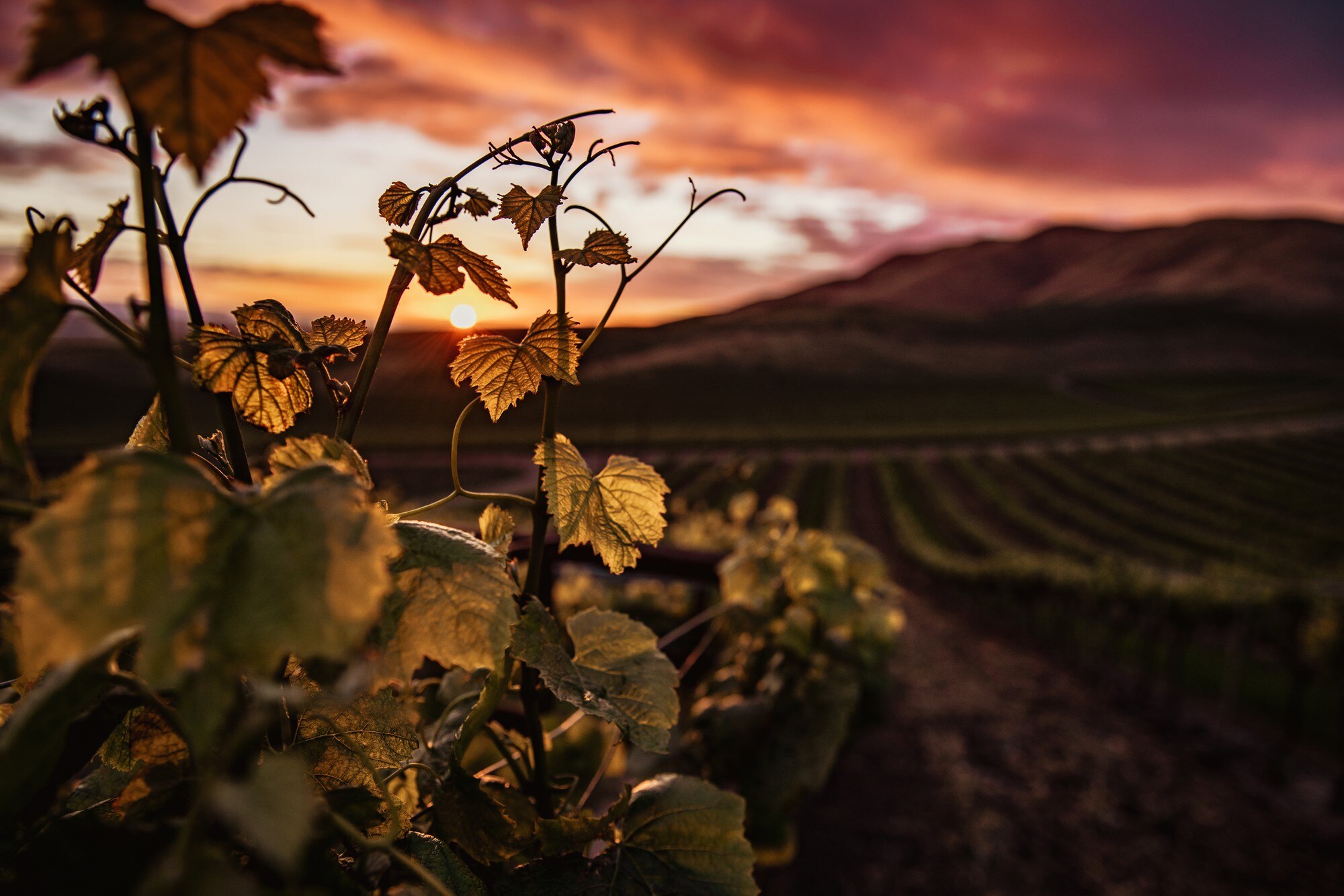 beautiful-shot-large-agricultural-field-countryside-with-hills-amazing-cloudy-sky_181624-39345